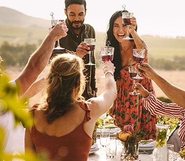 No More Wine Headaches! Wine Wand Sulfite Remover – 4 Pack